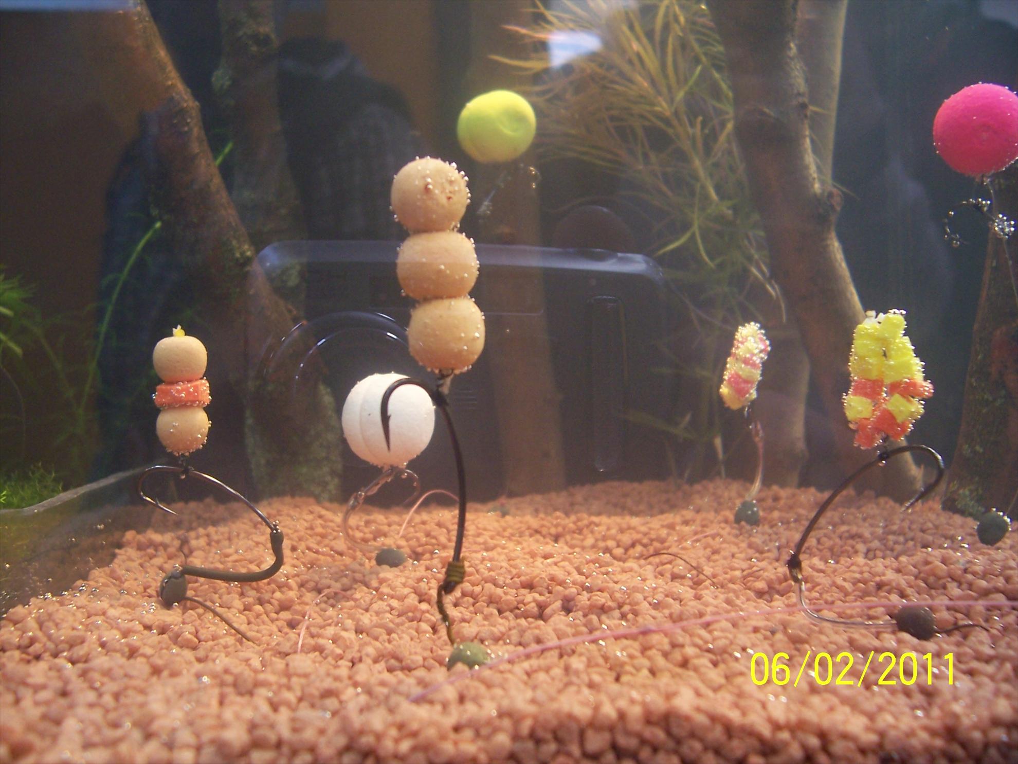 rig& baits - 1003762.JPG